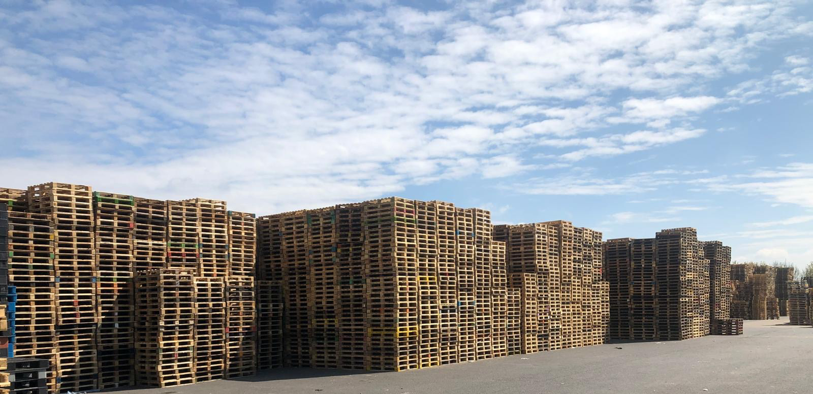 pallet-8